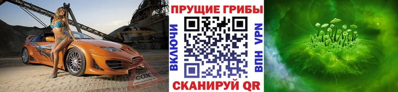 Псилоцибиновые грибы Psilocybine cubensis  Давлеканово 